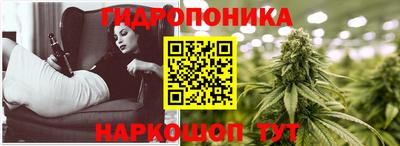 дживик Гатчина